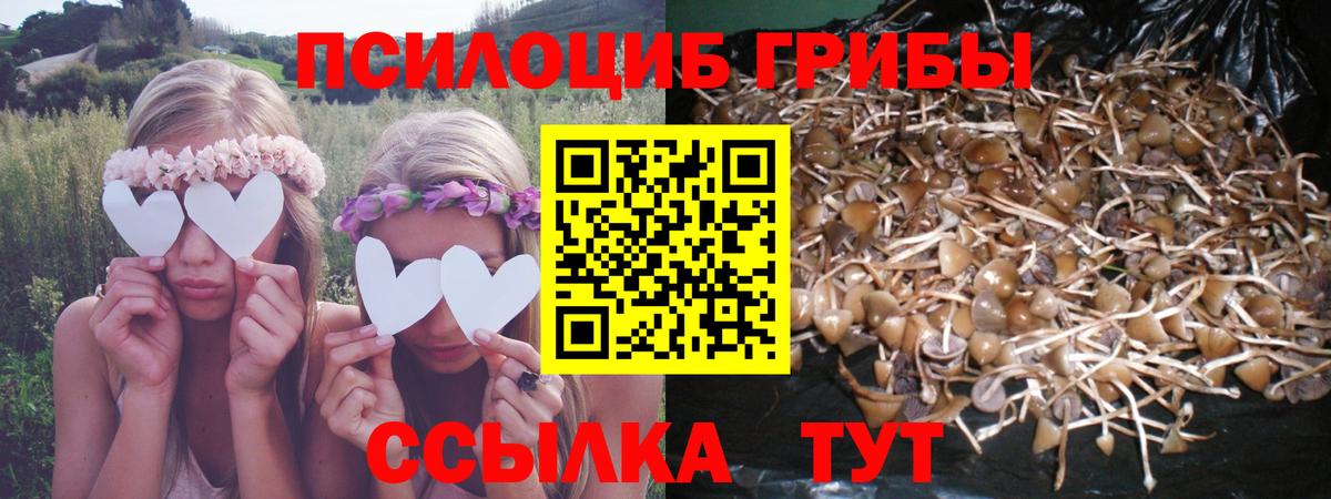 Туапсе  Псилоцибиновые грибы Psilocybine cubensis  Псилоцибиновые грибы MAGIC MUSHROOMS  Вход с VPN 